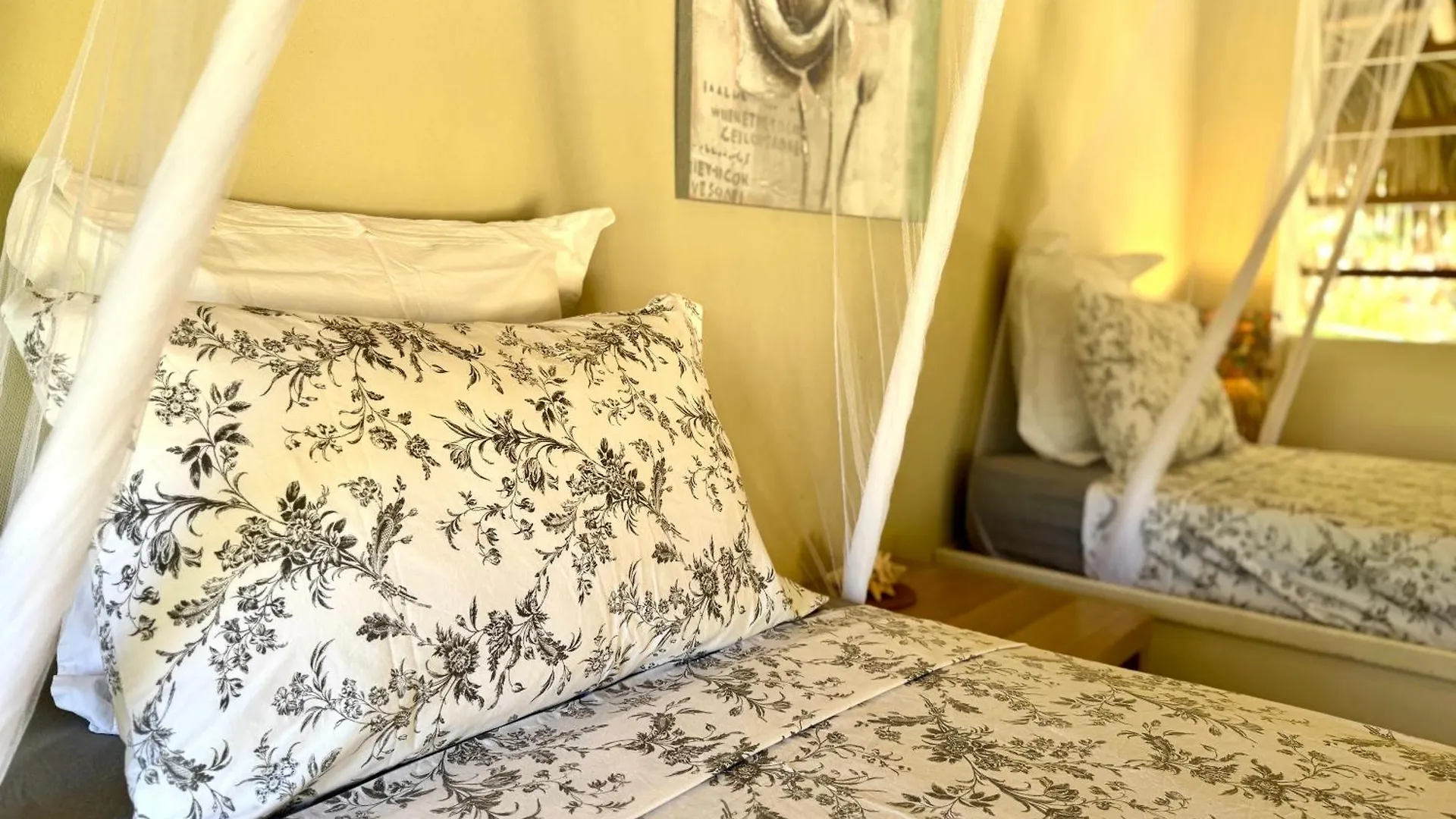 Petrakl Homes Las Galeras Appartement
